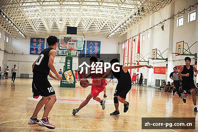 介绍PG
